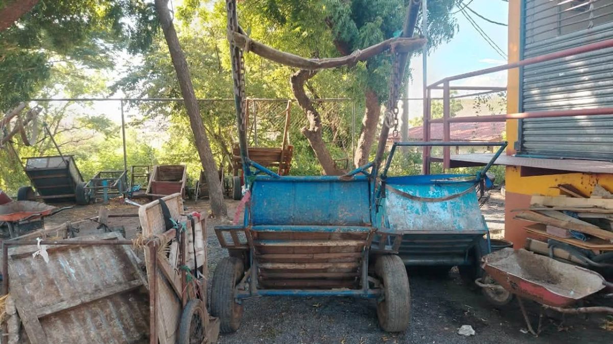 Carretones que fueron decomisados por la Alcaldía de Managua. Cortesía