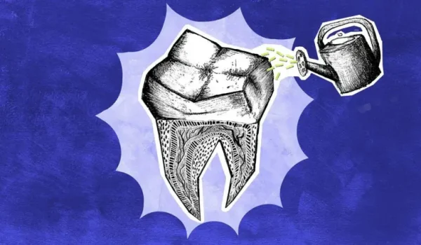 Los científicos que buscan que los dientes que perdemos vuelvan a crecer