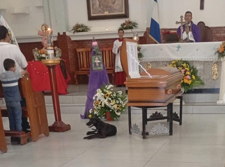 Estrella en el funeral de su dueñs la doctora Ligia Centeno. Foto: Cortesía.