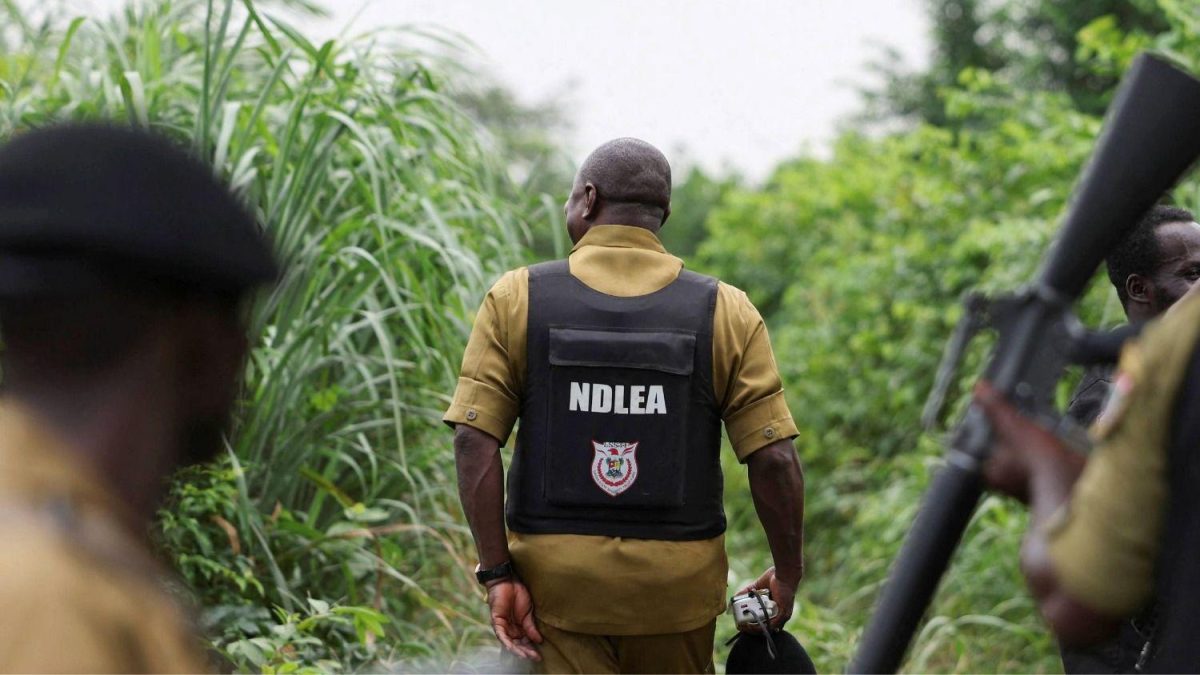 Agentes antinarcóticos inspeccionan el lugar donde se sospecha que se encuentra un laboratorio ilegal de drogas en una zona densamente boscosa del oeste de Nigeria. Foto: BBC Mundo