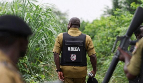 Agentes antinarcóticos inspeccionan el lugar donde se sospecha que se encuentra un laboratorio ilegal de drogas en una zona densamente boscosa del oeste de Nigeria. Foto: BBC Mundo