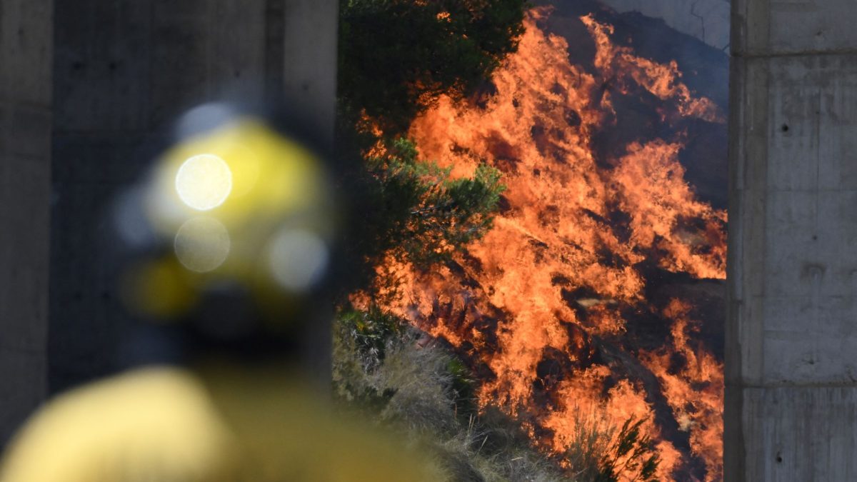 Un bombero monitorea el incendio en la zona de Los Gallardos, en la provincia de Almería. JOSÉ JORDÁN/AFP