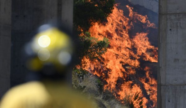 Un bombero monitorea el incendio en la zona de Los Gallardos, en la provincia de Almería. JOSÉ JORDÁN/AFP