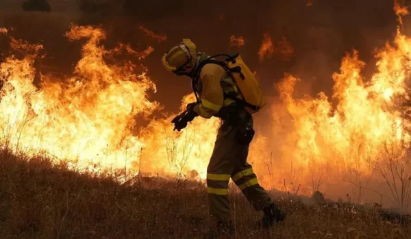 Los bomberos combaten un incendio forestal en la zona de Cebreros, cerca de Ávila, 80 km al oeste de Madrid. Los bomberos combaten un incendio forestal en la zona de Cebreros, cerca de Ávila, 80 km al oeste de Madrid.