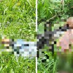 Forense descarta problemas mentales en uno de los cuatro acusados por doble homicidio en Matagalpa