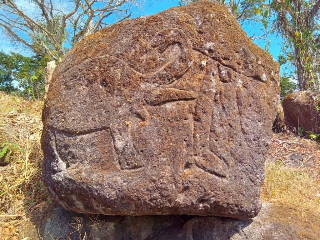 Petroglifo ubicado en Río San Juan representa un mamut. Se estima con una antigüedad preliminar de entre 6,000 y 8,000 años.