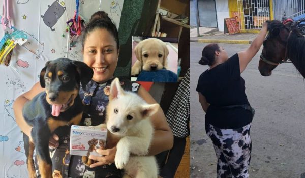 Ligia de Fátima Centeno Martínez, de 32 años, es la veterinaria que murió en un accidente que involucró una patrulla policial en Managua. Foto: La Primerísima.