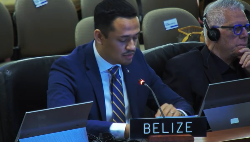 Representante de Belice en la OEA. Captura de pantalla