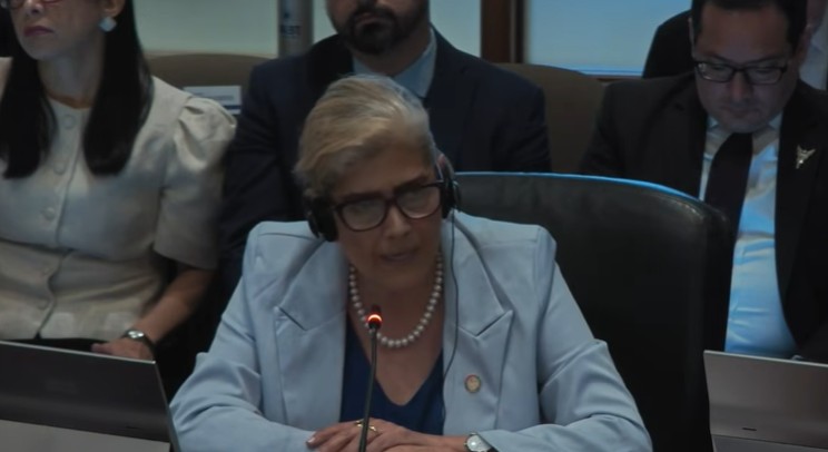 Representante de Ecuador en la OEA. Captura de pantalla