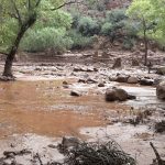 Dos muertos y más de una decena de desaparecidos tras inundación repentina en el Gran Cañón de EE.UU.