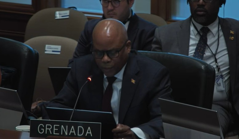 Representante de Grenada en la OEA. Captura de pantalla