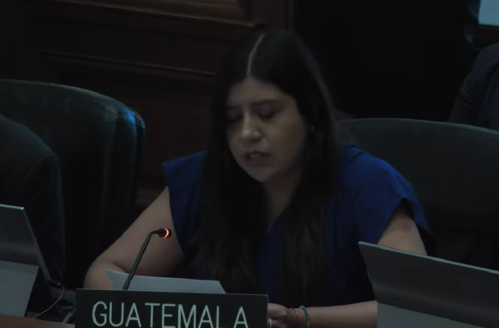 Representante de Guatemala en la OEA.