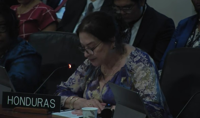 Representante de Honduras en la OEA. Captura de pantalla