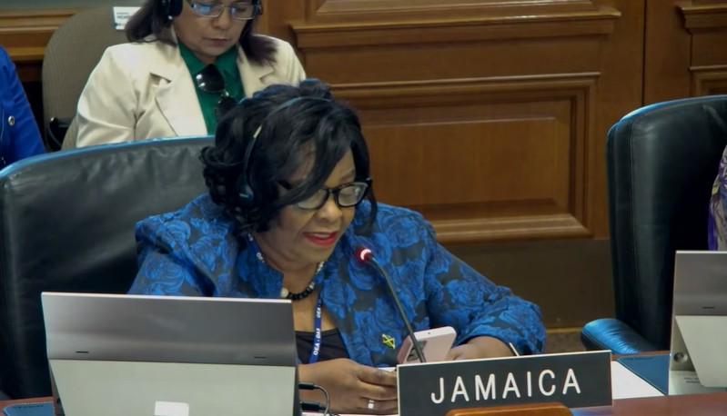 Representante de Jamaica en la OEA. Captura de pantalla
