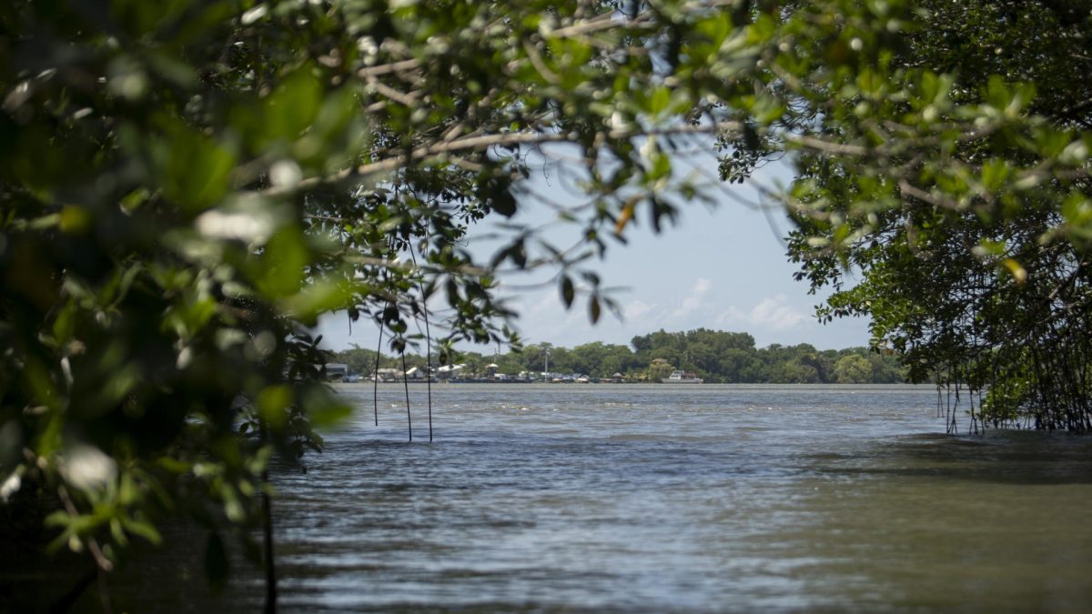 Fotografía cedida por la Unión Internacional para la Conservación de la Naturaleza (UICN) que muestra una zona de Puerto Lempira (Honduras). EFE/ Priscilla Mora / Unión Internacional para la Conservación de la Naturaleza (UICN)/ SOLO USO EDITORIAL/NO VENTAS/SOLO DISPONIBLE PARA ILUSTRAR LA NOTICIA QUE ACOMPAÑA (CRÉDITO OBLIGATORIO)