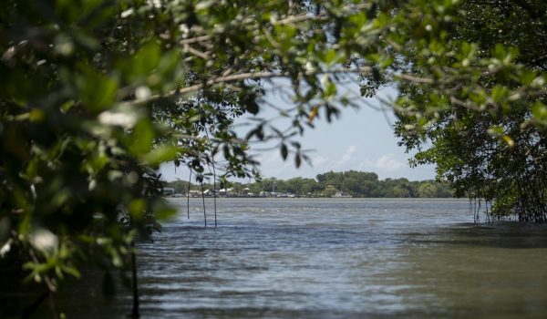 Mesoamérica busca proteger el 30 % de su territorio y mares para 2030