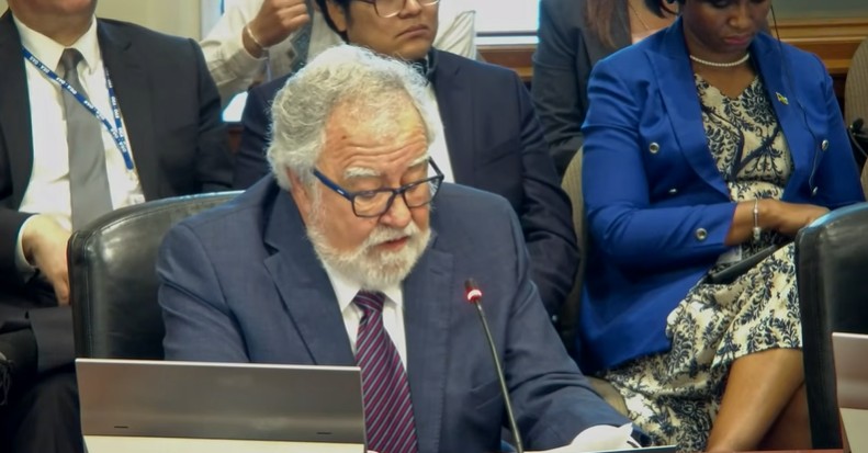 Representante de México en la OEA. Captura de pantalla