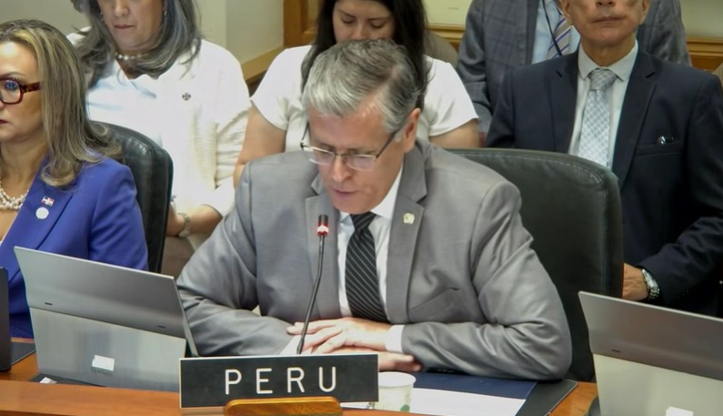 Representante de Perú en la OEA. Captura de pantalla