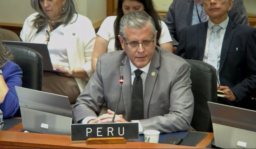 Representante de Perú en la OEA. Captura de pantalla