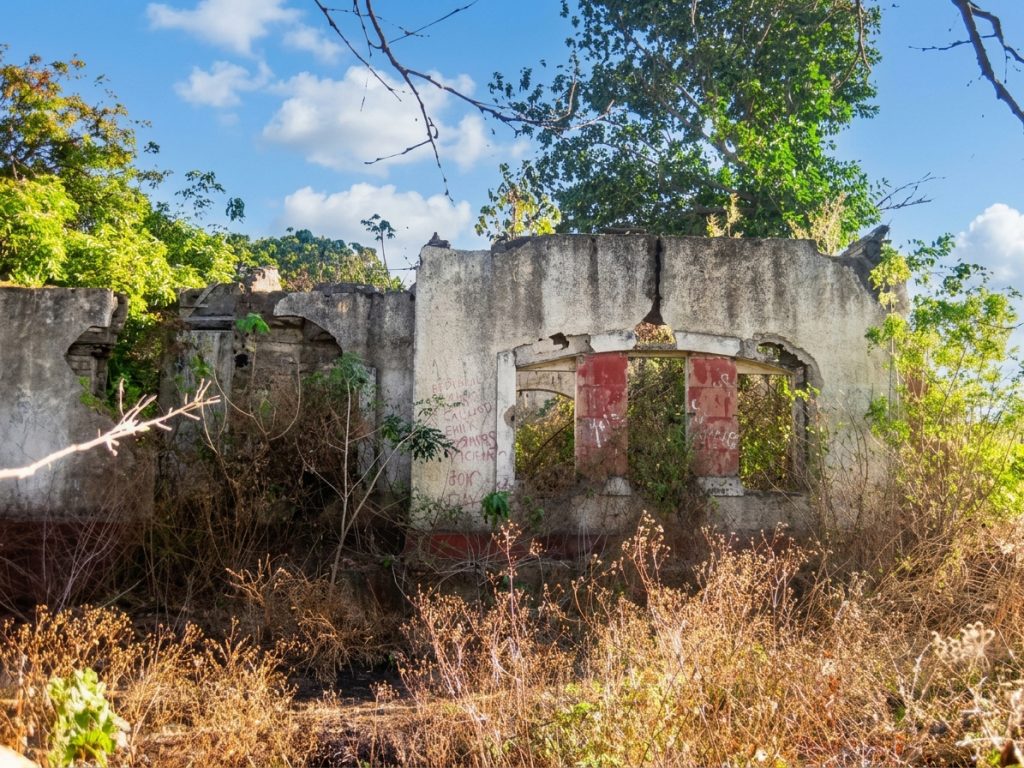 La maleza consume los restos de la Quinta Angélica, bautizada por el mito popular como La Casa Embrujada. LA PRENSA / ARCHIVO REDES