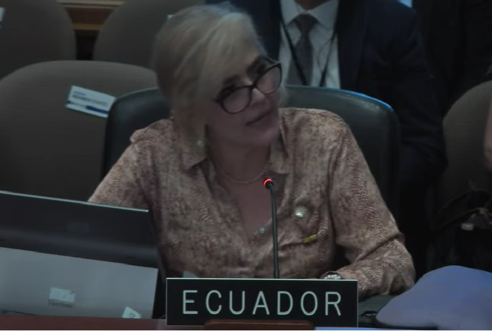 Mónica Palencia, representación de Ecuador ante OEA se pronuncia sobre Nicaragua. Captura de pantalla