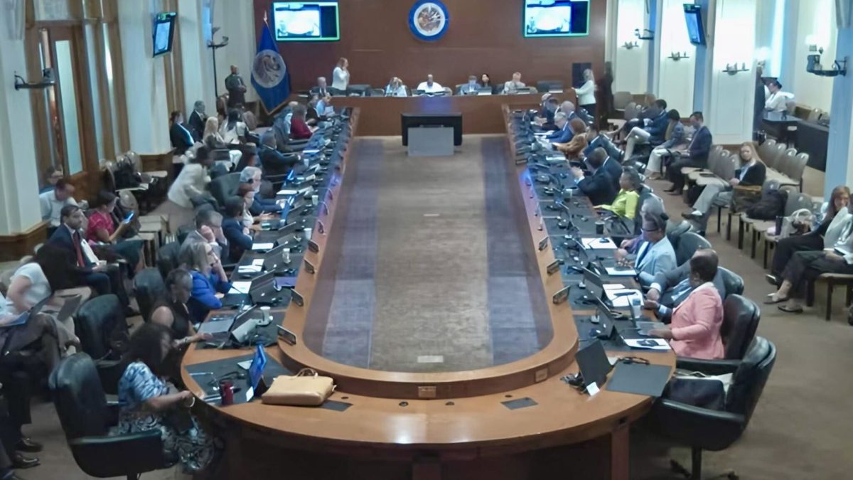 Sesión ordinaria de la OEA sobre Nicaragua. LA PRENSA/Captura de pantalla