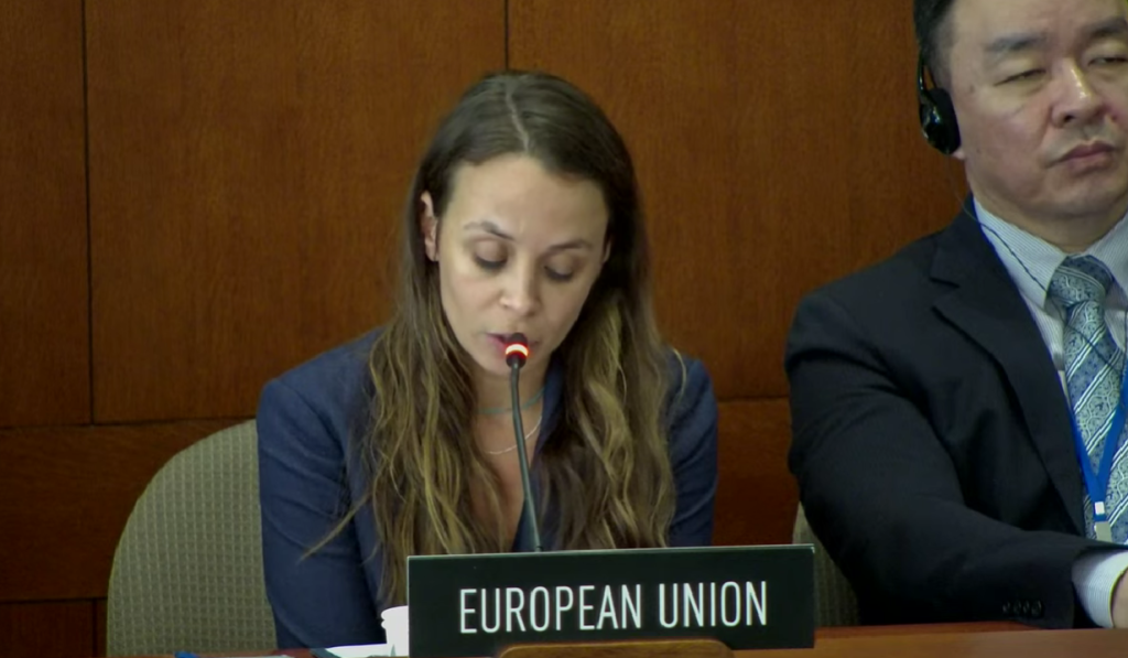 Unión Europea se pronuncia sobre situación en Nicaragua ante OEA