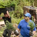 Voluntarios se suman a programa de reforestación para plantar 12.000 árboles en México