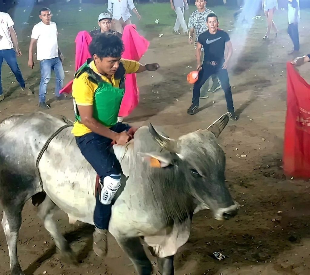 Fernando Arauz se había vuelto un experto montando toros. LA PRENSA/ CORTESÍA