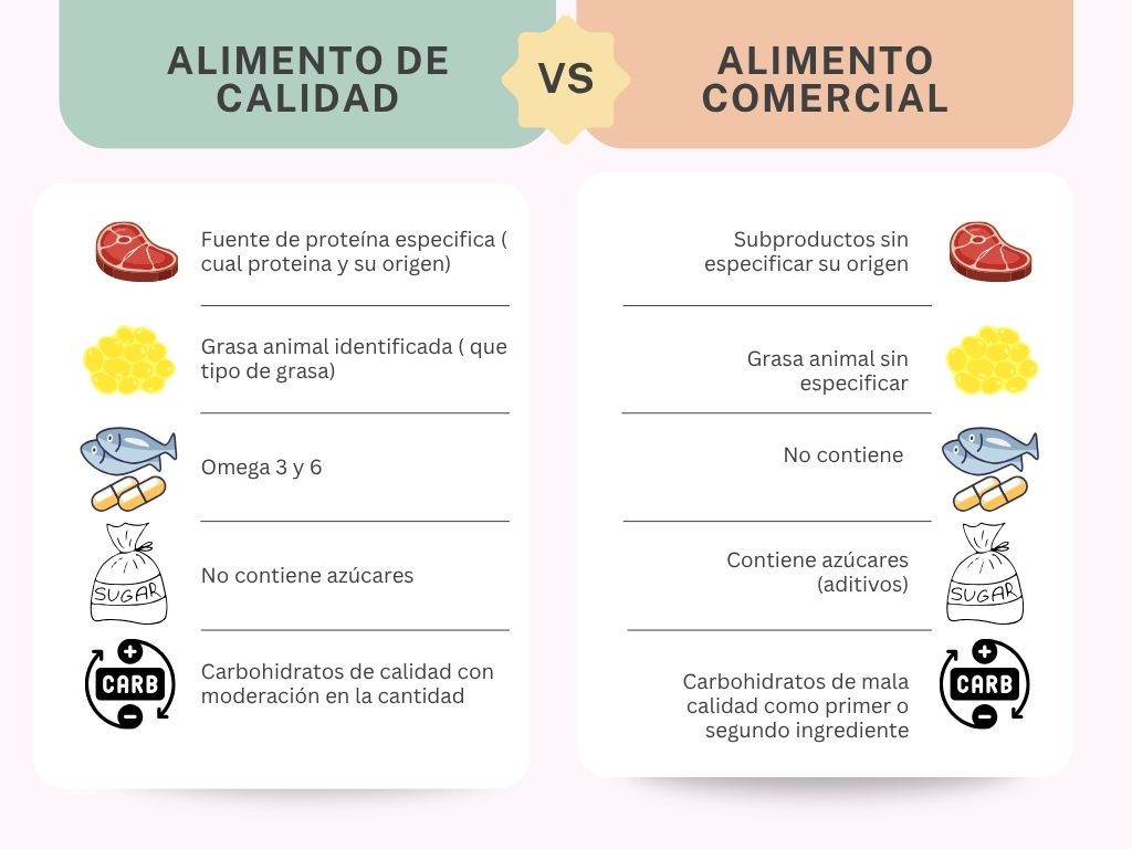 Cómo elegir el mejor alimento para tu perro