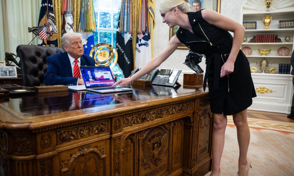 Natalie Harp asesora de Donald Trump