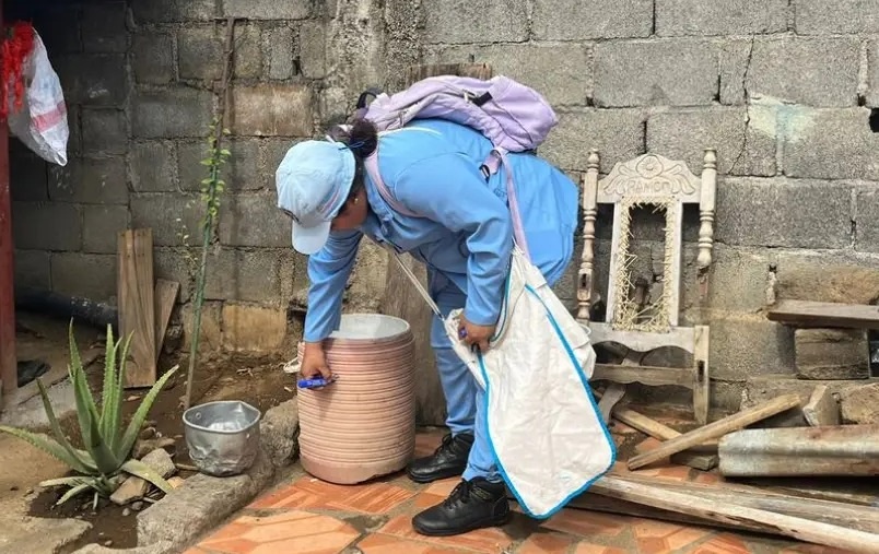 La eliminación de criaderos de mosquitos es fundamental en la prevención del chikungunya. Foto: LA PRENSA / ARCHIVO