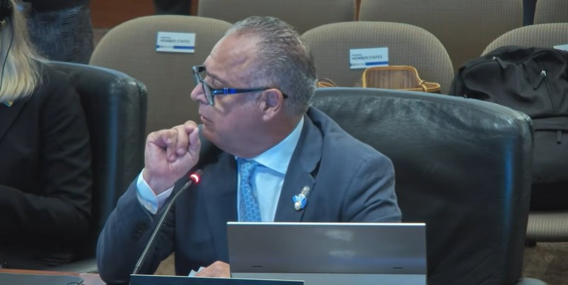 Embajador de Argentina en la OEA. Captura de pantalla.