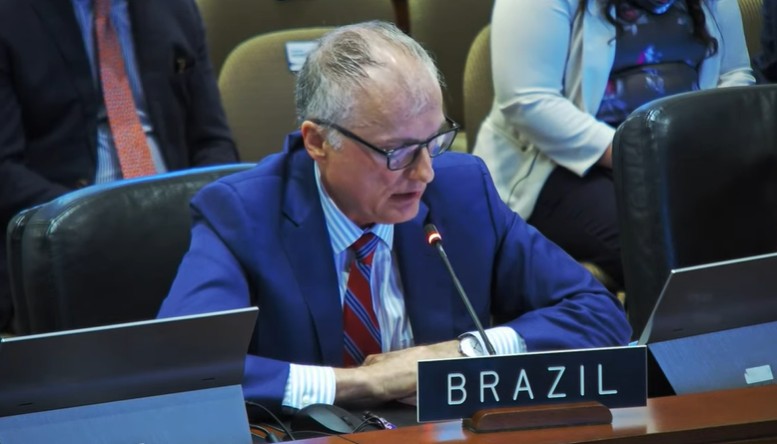 Representante de la delegación de Brasil. Captura de pantalla.