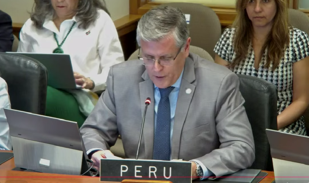 Representante de Paraguay, Raúl Florentín