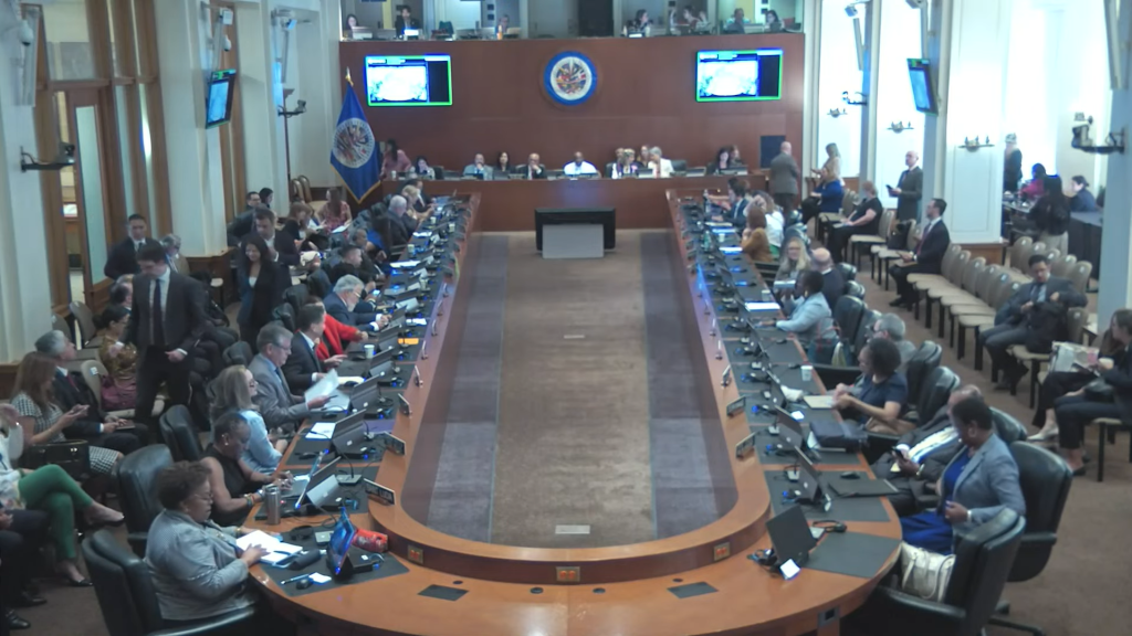 Sesión extraordinaria este 5 de agosto del Consejo Permanente de la OEA sobre Nicaragua. Captura de pantalla