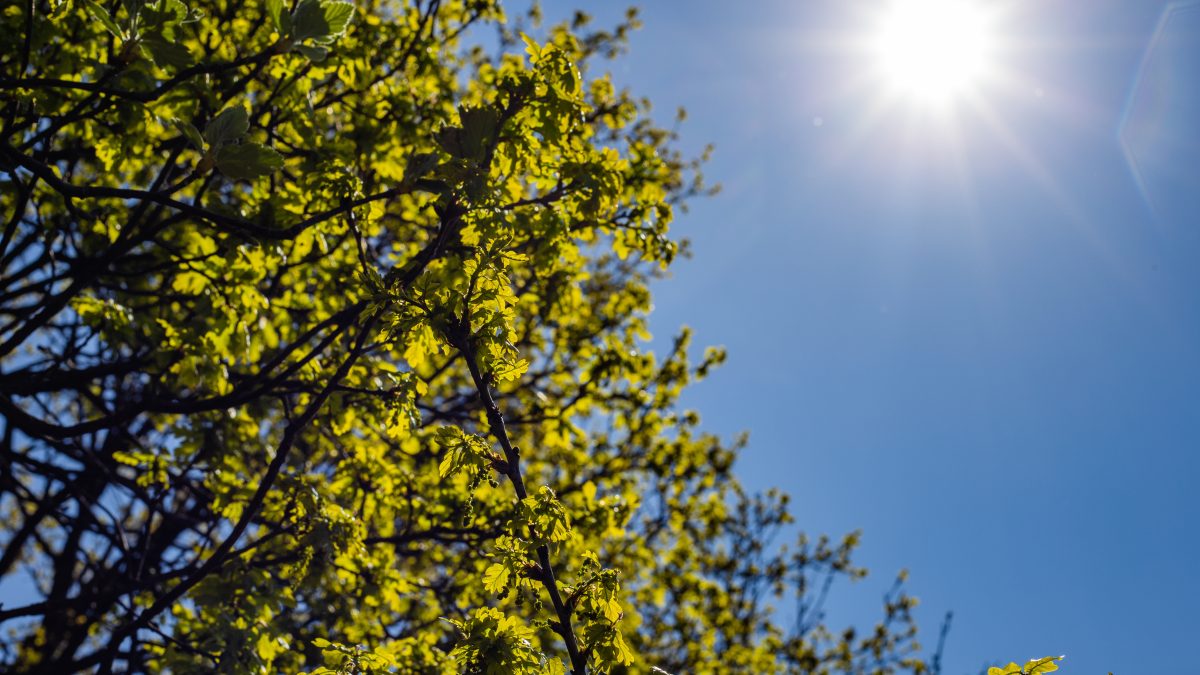 Imagen referencial de clima soleado en Nicaragua, clima hoy en Nicaragua, pronóstico del tiempo