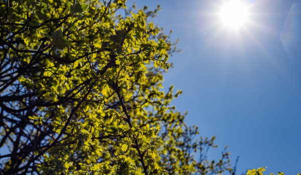 Imagen referencial de clima soleado en Nicaragua, clima hoy en Nicaragua, pronóstico del tiempo