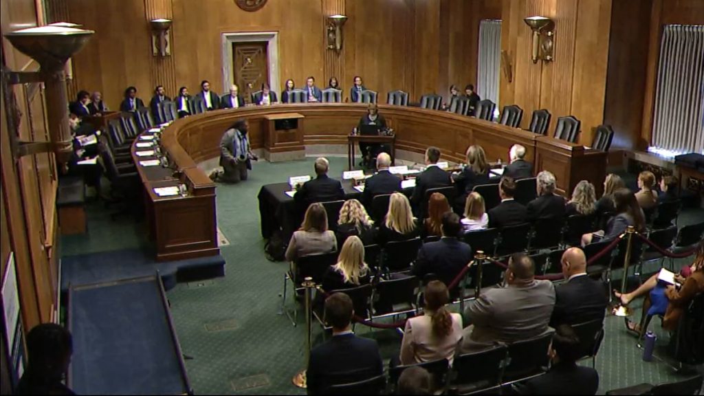 Audiencia de nominación. Captura de pantalla.