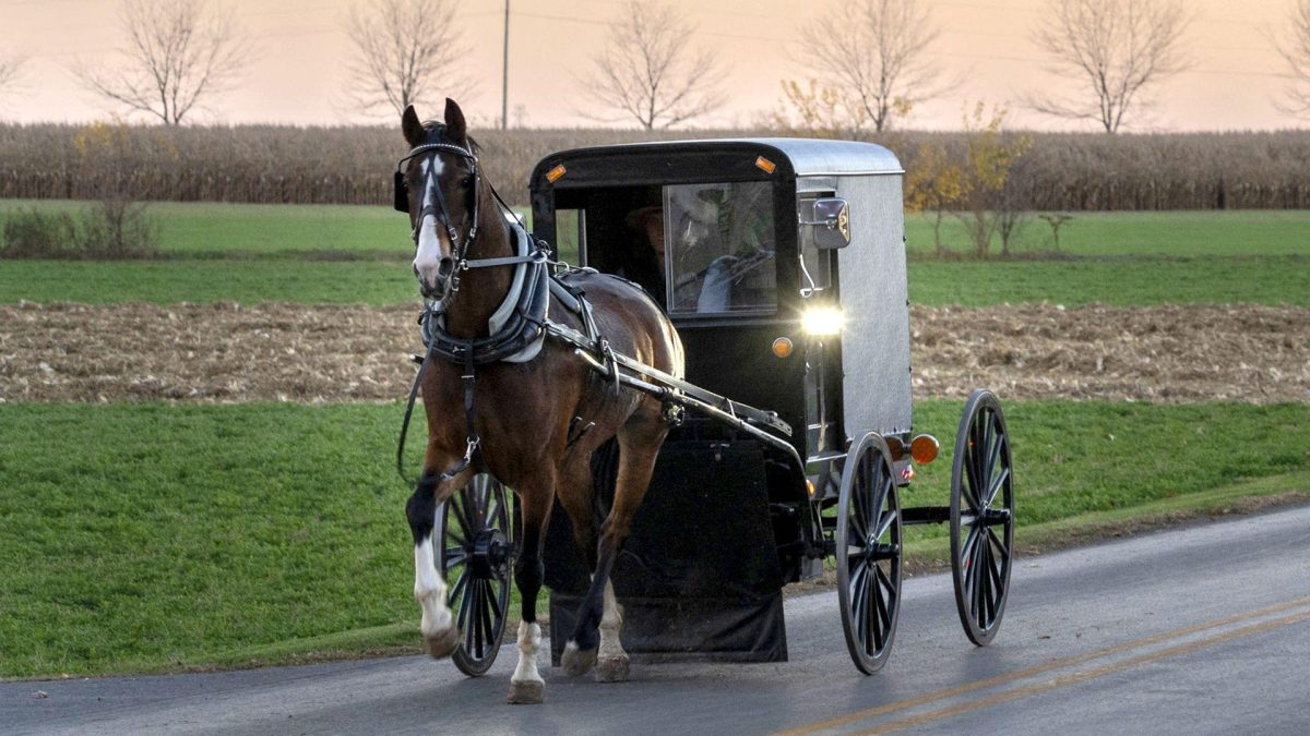 Getty Images Pensilvania es el hogar de miles de amish, que evitan muchos aspectos de la vida moderna.