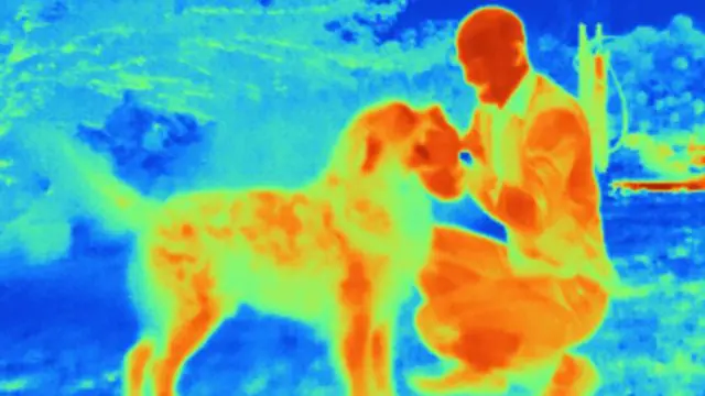 Imagen térmica de un hombre jugando con su perro