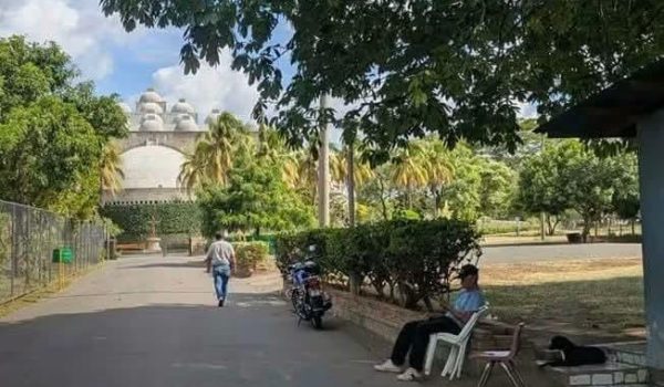 Hallan osamenta humana en los predios de Catedral de Managua. Foto: Canal 8.