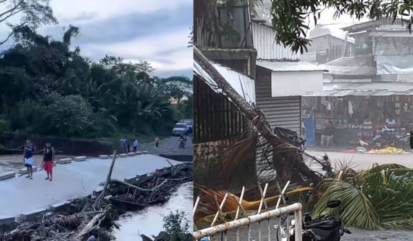 Lluvias causaron en el Caribe Norte de Nicaragua caída de árboles, deborde de ríos y colapso de puentes de paso vehícular. Foto: Tomadas de redes sociales.