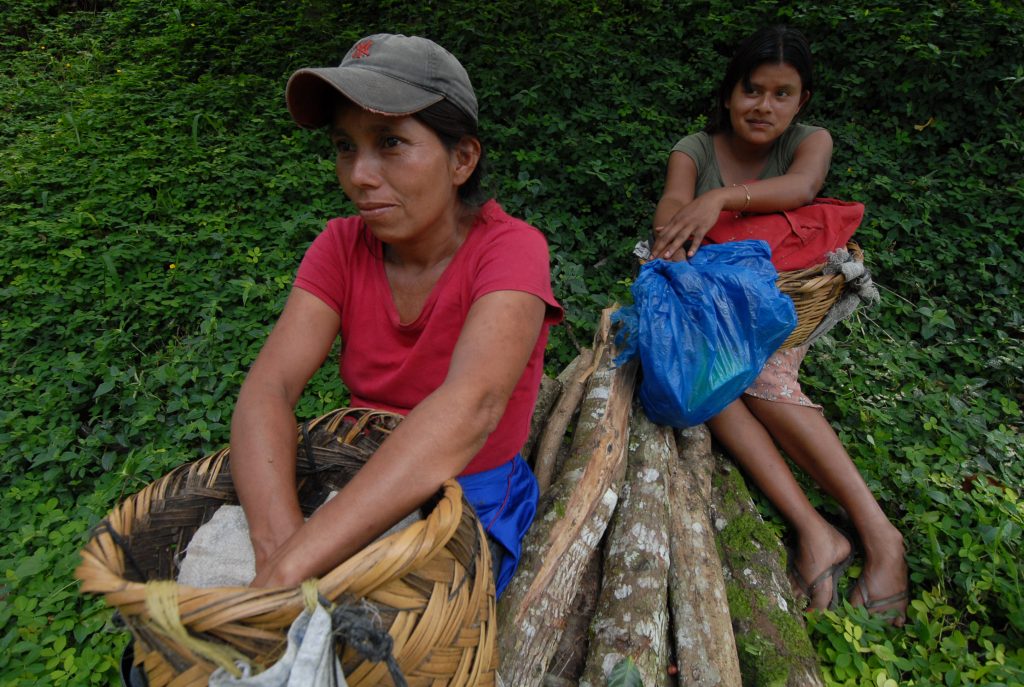 Mujeres cortadoras de café en Pantasma, un municipio con una intensa actividad agrícola. LA PRENSA / ARCHIVO PERSONAL ÓSCAR NAVARRETE