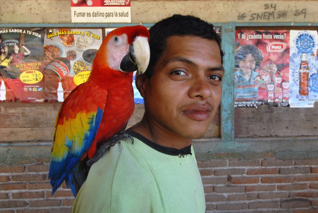 Un campesino lleva una lapa sobre el hombro en el valle de Pantasma. LA PRENSA / ARCHIVO PERSONAL ÓSCAR NAVARRETE