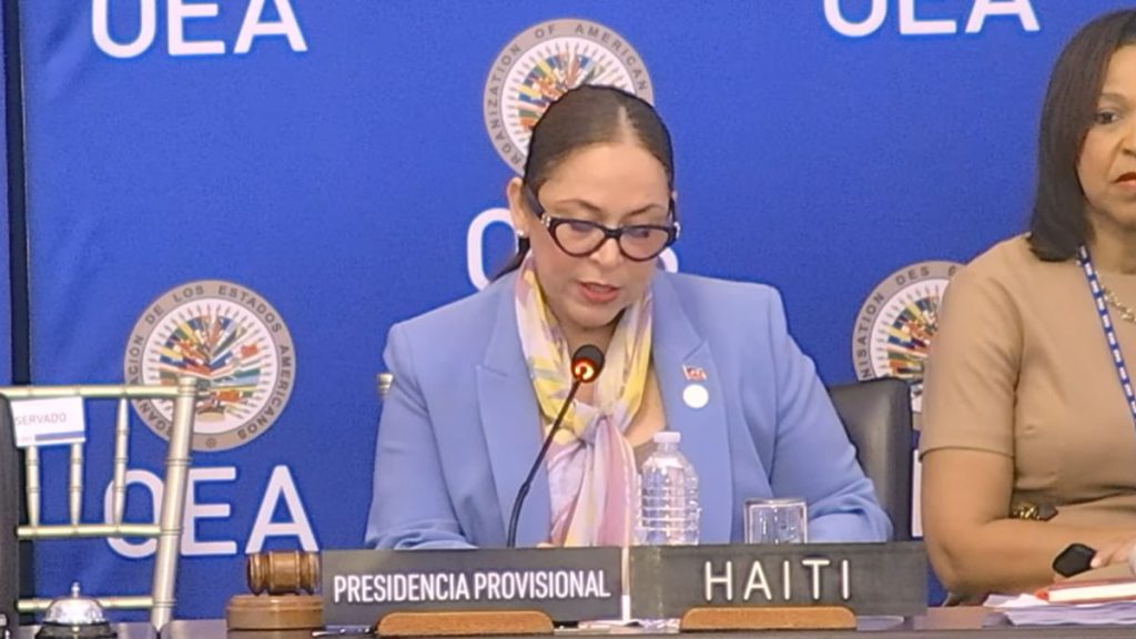 Preside la representante de Haití, como presidenta provisional