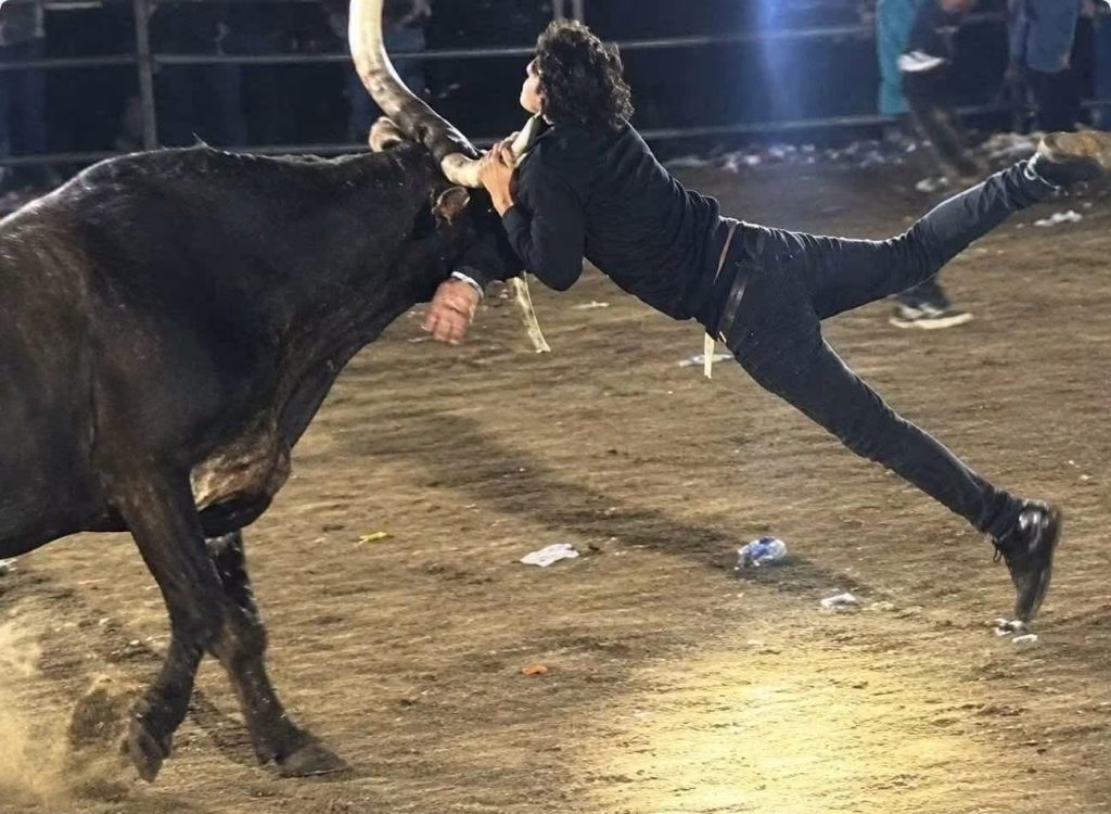 Aníbal Ramses Zúniga es embestido por el toro Cascabel en Masaya. Foto: Cortesía/Ramses.