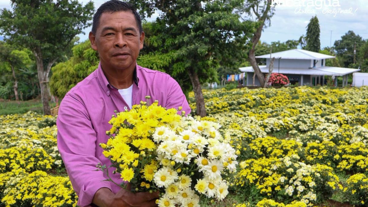 José Anastasio García Hernández, conocido como don Tacho, en su campo de flores en Catarina. Foto: Cortesía/Don Tacho.