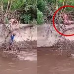 Dramático rescate de hombre que era arrastrado por corriente de un cauce